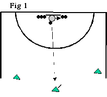 Figure 1b